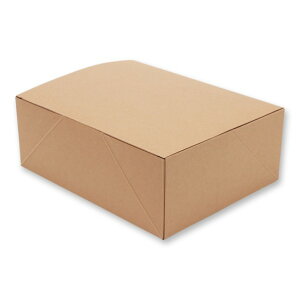 VW} HEIKO  lINtg P[L{bNX LL P[L8p 20 190×240×90mm Ntg 004248018 20