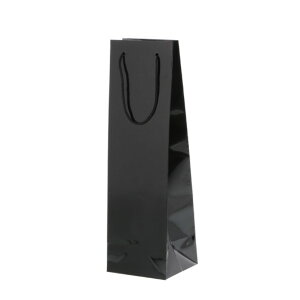 VW} 񂰎 uCgobO C1{ 10  006459201 10