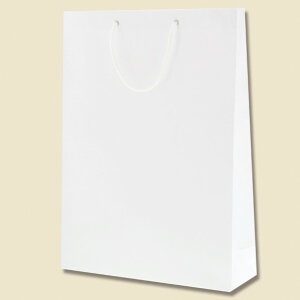 VW} 񂰎 uCgobO KA  10 006137801 10