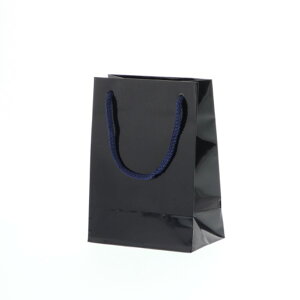 �V���W�} ��񂰎��� �u���C�g�o�b�O T-4 ���� 10�� 006142323 10��