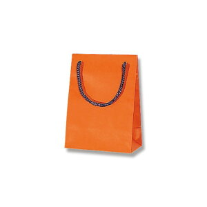 �V���W�} ��񂰎��� �u���C�g�o�b�O T-4 D�I�����W(�}�b�g�^�C�v) 10�� 006143260 10��