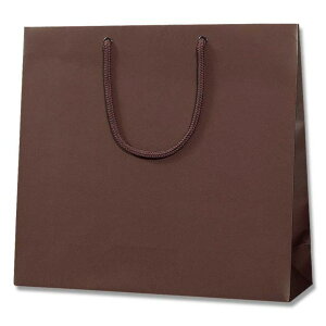 �V���W�} ��񂰎��� �u���C�g�o�b�O GM �`���R�u���E��(�}�b�g�^�C�v) 10�� 006137970 10��