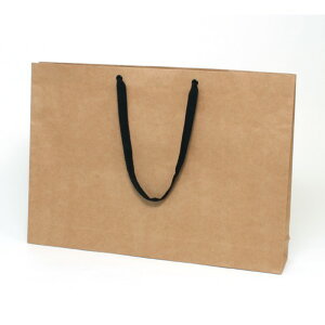 �V���W�} ��񂰎��� �t�@�b�V�����o�b�O LL ���N���n 10�� 006470510 10��