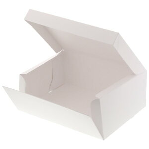 VW} HEIKO  TChI[vP[L 5 P[L10p 10 270×210×105mm  004260004 10