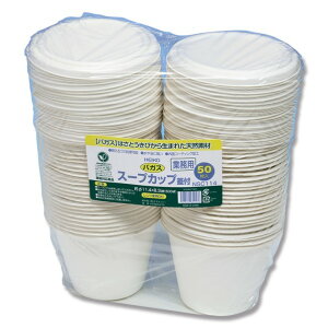 VW} Hie oKXy[p[EFA X[vJbv Ɩp 500ml t^t NSC114 004477051 50