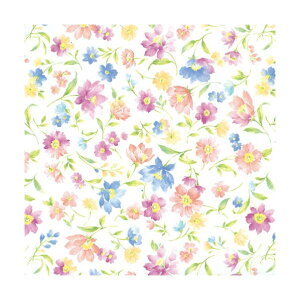 �V���W�} HEIKO ��� ���� 100�� 750×528mm �A���}���h 2312700 1�_