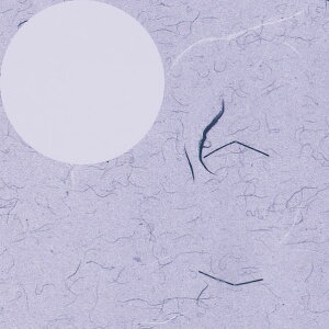 VW} HEIKO   100 758×523mm tEr  2318500 1_