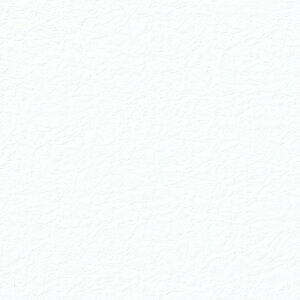 VW} HEIKO a ̎q G{X No.01 5 788×545mm  2108000 1_