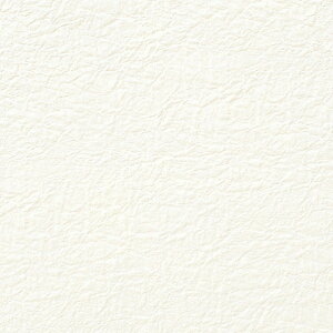 VW} HEIKO a ̎q G{X No.02 5 788×545mm  2108001 1_