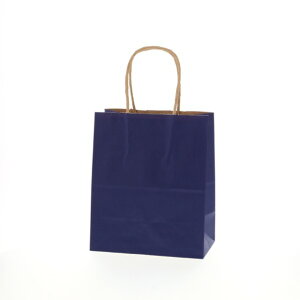 �V���W�} ��񂰎��� 25�`���[���o�b�O 21-12 ���N �l�C�r�[NC 50�� 003266306 50��