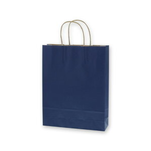 �V���W�} ��񂰎��� 25�`���[���o�b�O MS1 ���N �l�C�r�[NC 50�� 003276809 50��