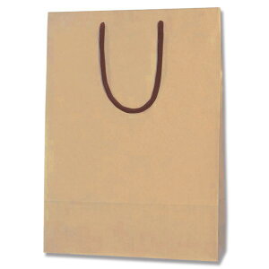 �V���W�} ��񂰎��� �J���[�`���[���o�b�O 2�� �N���t�g 10�� 005310116 10��