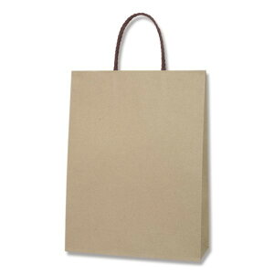 �V���W�} HEIKO ���� �X���[�X�o�b�O 2��-S 10�� 320×�}�`115×420mm ���C�i�[���n 003154010 10��
