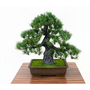 lH/lHϗtA ~  GO-518 6300073051 1