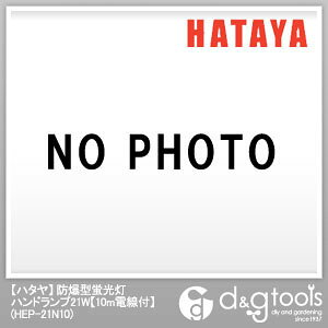 n^(HATAYA) h^unhv21W10mdt HEP-21N10y2512DFD_3z