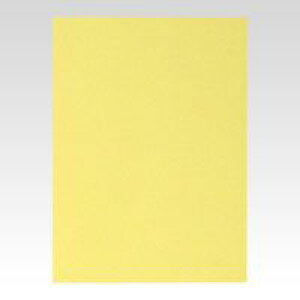 �A���e �j���[�J���[�{�[�h5mmB1 �N���[�� BP-5CB-B1-CR 1