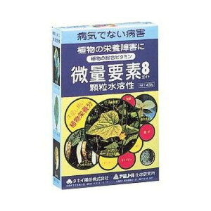 �A�~�m�[���J�K�N�P���L���E�W�� ���ʗv�f�G�C�g 400g