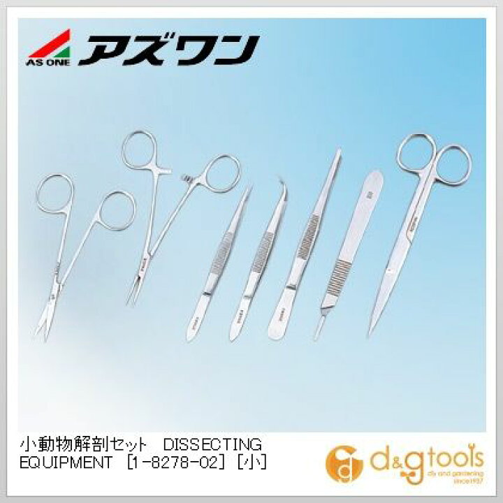 楽天市場】アズワン 小動物解剖セットDISSECTINGEQUIPMENT［小］動植物 
