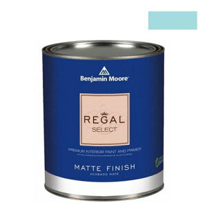 �x���W���~�����[�A�y�C���g ���[�K���Z���N�g�}�b�g�������G�R�����h�� sonoma skies 4L G221-737