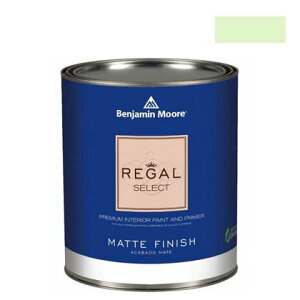 xW~[AyCg [KZNg}bgGRh neon celery 1L Q221-2031-60