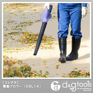 ACK[c[ [ddu[Omd@`ECIdr̗p EBL14