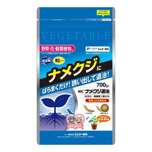 GV[Ή MICiNWގ 700g