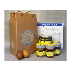 PAINTmagician }WVJ[Ah@Xg h ؖ 900mlZbg 255000008