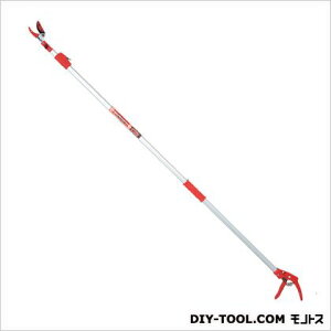 Y Lk}(t)EGLP-1
