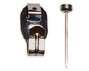 tNCL]NREQC SXtbN  4033 100