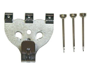 tNCL]NREQC SXtbN  4041 50