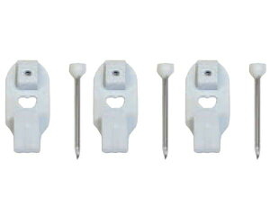 tNCL]NREQC SXtbN  F-0304 1