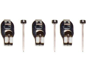 tNCL]NREQC SXtbN  F-0011 1