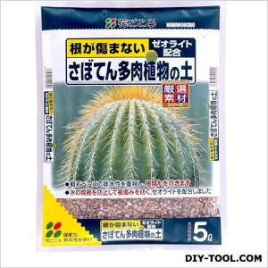 Ԃ ڂĂ񑽓A̓y 5L 1