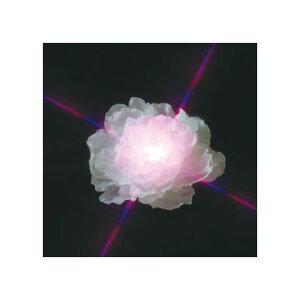 �W�F�t�R��LED�t���[�g(�d�r��)STM-W01W