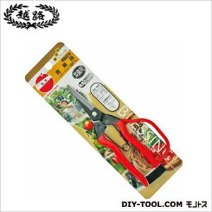 ѐ (K[ht) 255 J-11G 1_