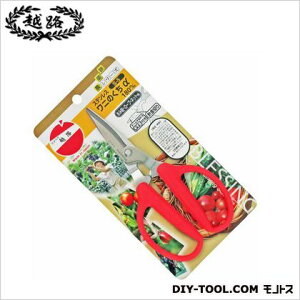 ѐ XeXĵ 210 S-5 1_