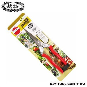 ѐ XeXnE 200mm S-2 1_