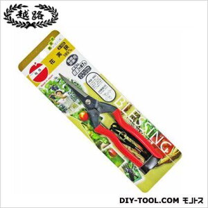 ѐ ԎXgbvt 185mm K-10S 1_