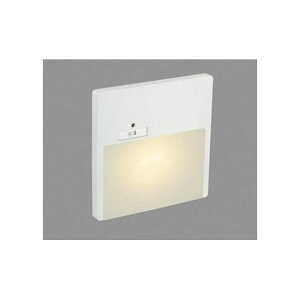 RCY~Ɩ LEDtbgCg AB42105L