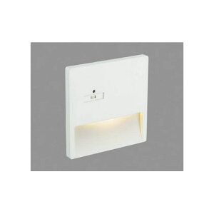 RCY~Ɩ LEDtbgCg AB42106L