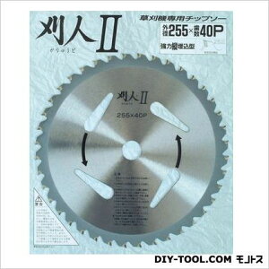 V[ @p`bv\[ lII 255×40P 501029 1