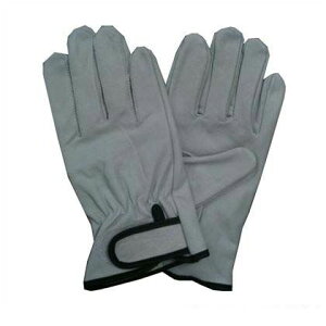 @lpi~^j #CS-415NXgW[AeȂ 209277 1