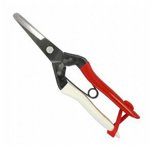 岡恒 玉葱鋏園芸はさみ採収鋏 195mm 306 1点