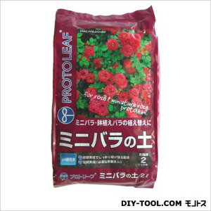 vg[t ~jo̓y 2L 15×26×4cm 1