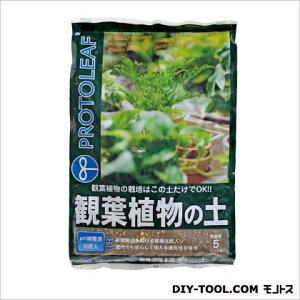 vg[t ϗtA̓y 5L 24×36×6cm 1