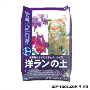 vg[t m̓y 5L 24×36×6cm 1