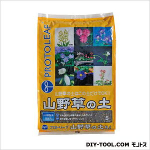 vg[t R쑐̓y 5L 24×36×6cm 1