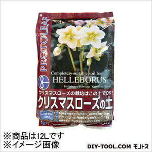 vg[t NX}X[Y̓y 12L 35×48×7cm 1