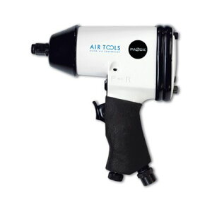 pIbN GACpNg` zCg×ubN AIM-01PA 1_