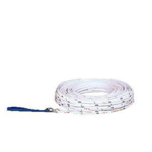 ϐ GXʃ[v 50m [v50 1